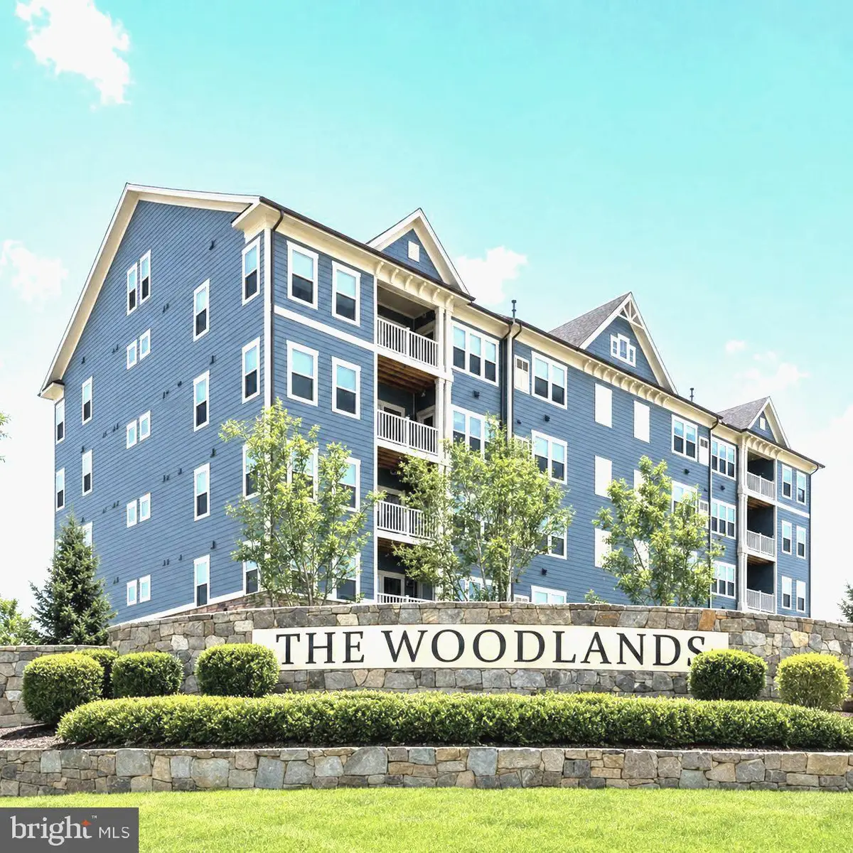 3315 Firefly Ln #204, Frederick, MD 21704 - #1