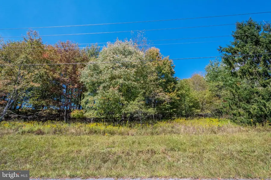 Sears Ln, Swanton, MD 21561 - #2