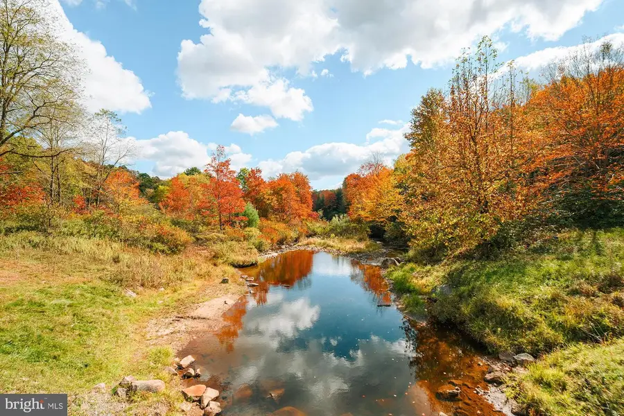 Lot 40 Big Piney Dr, Oakland, MD 21550 - Image #3