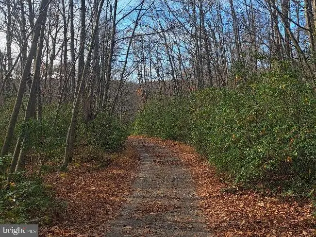 Fox Tail Rd, Oakland, MD 21550 - Image #2