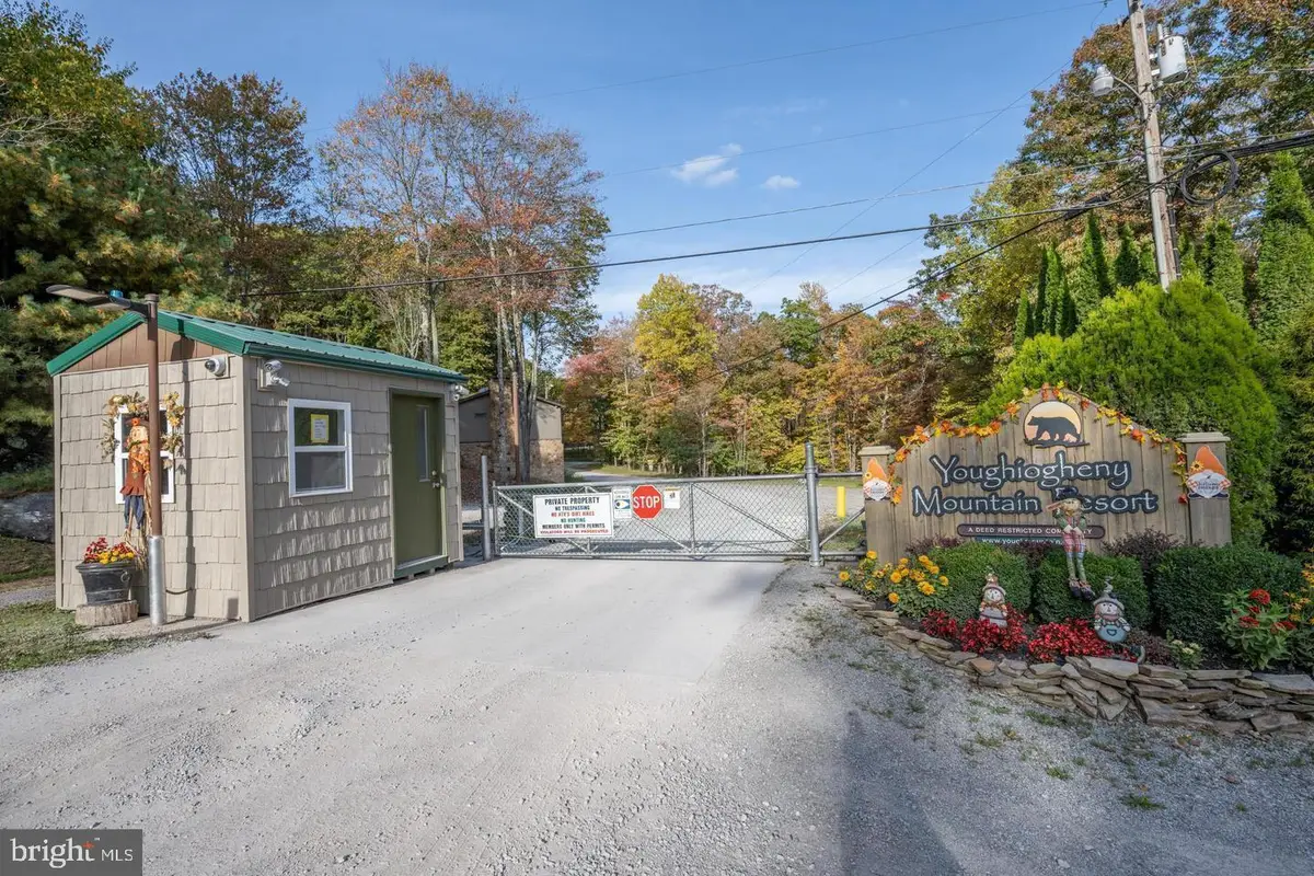 Rhododendron Dr, Oakland, MD 21550 - #1