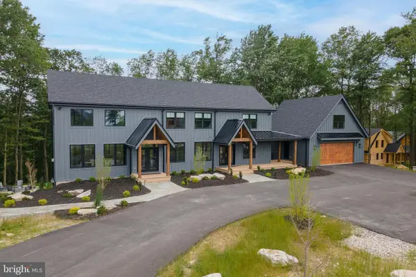 14 Summer Camp Ln, MC HENRY, MD 21541