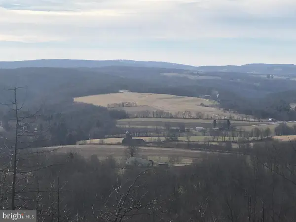 Devils Half Acre Rd, ACCIDENT, MD 21520