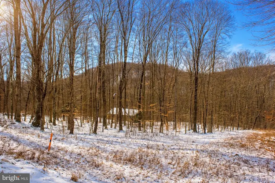 6 Sparrow Trl, Friendsville, MD 21531 - #2