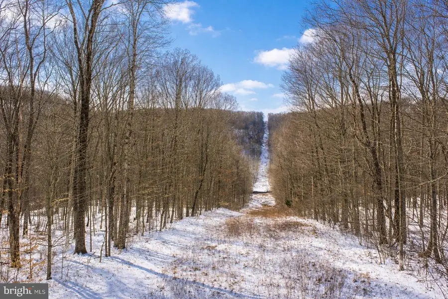 6 Sparrow Trl, Friendsville, MD 21531 - #3