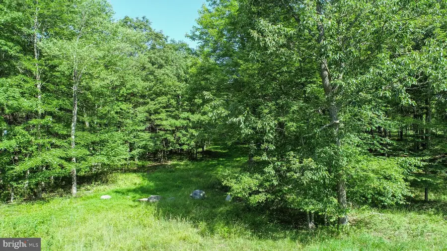 2 Fern Loop Dr, 6 Sang Run, MD 21541 - Image #3