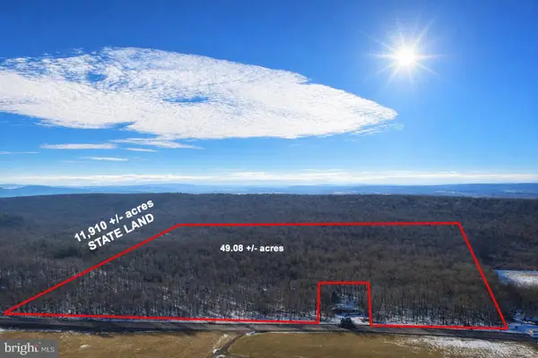 49.08 Acres Maryland Hwy, SWANTON, MD 21561