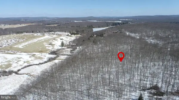 Lot 2 Pergin Farm Rd, OAKLAND, MD 21550