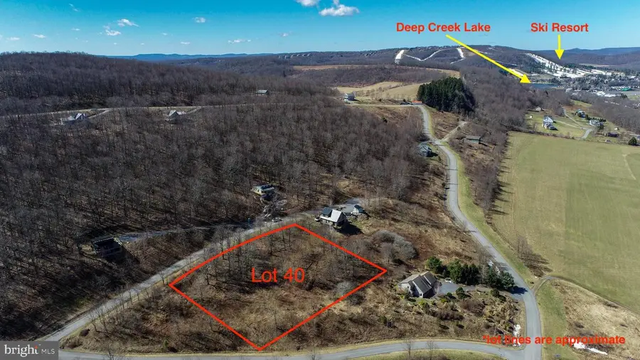 40 Daisy Dr, McHenry, MD 21541 - #3