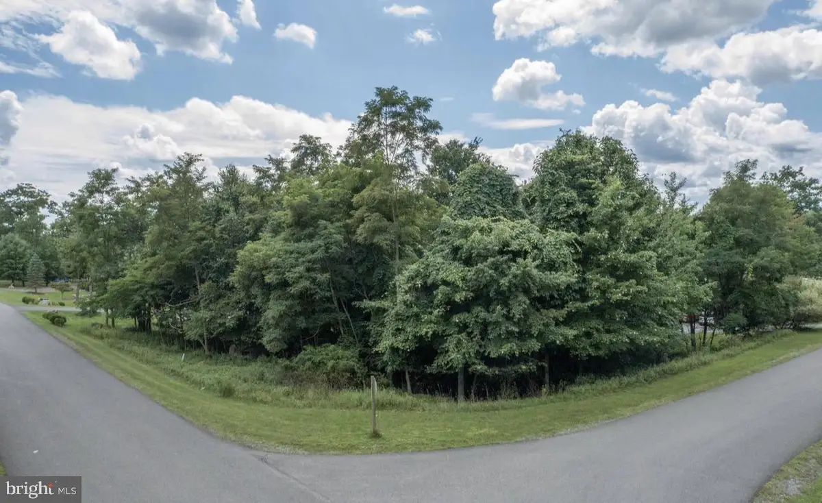 11 Westward Way, McHenry, MD 21541 - #1