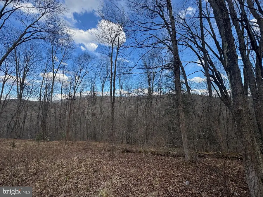 Jennings Rd, Grantsville, MD 21536 - #2