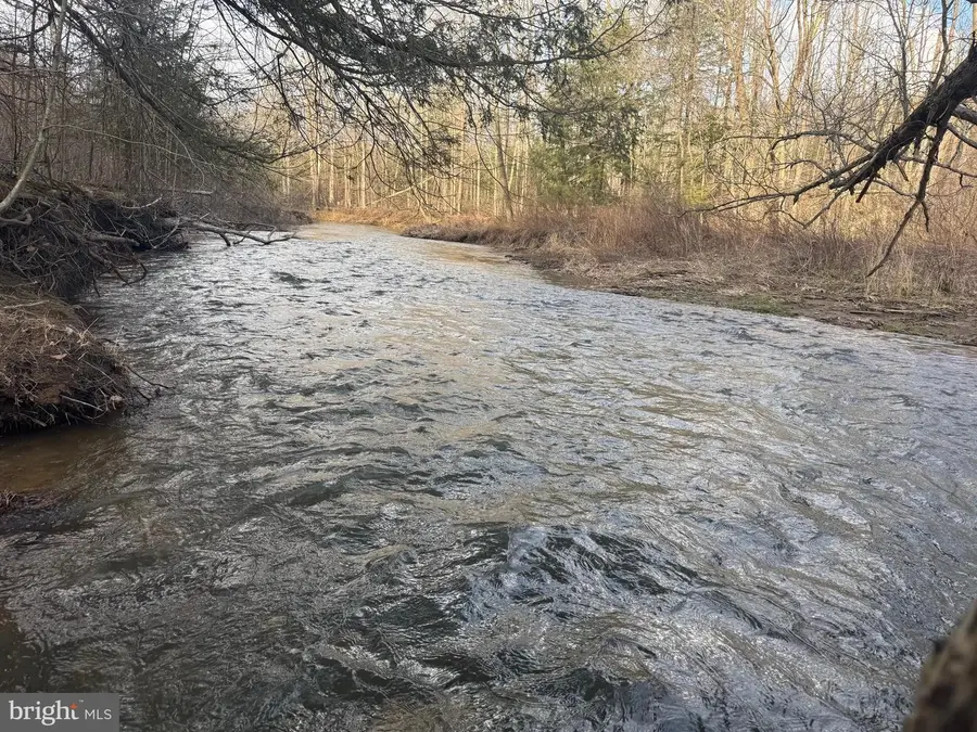 Jennings Rd, Grantsville, MD 21536 - #3