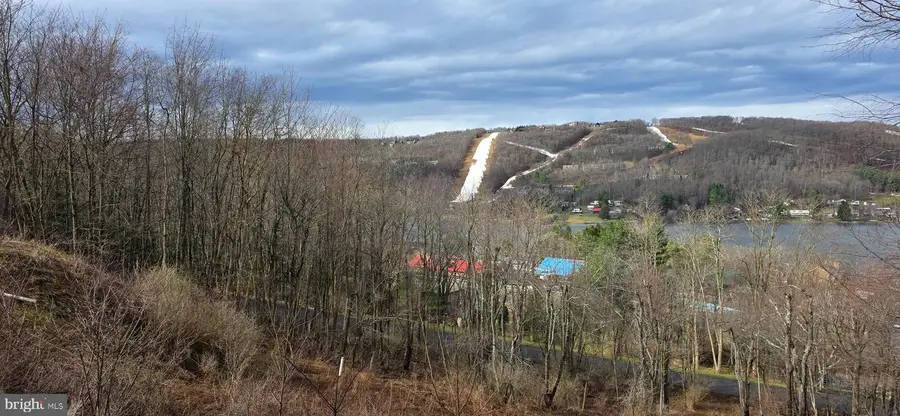 Timber Ridge Rd #10, McHenry, MD 21541 - #2