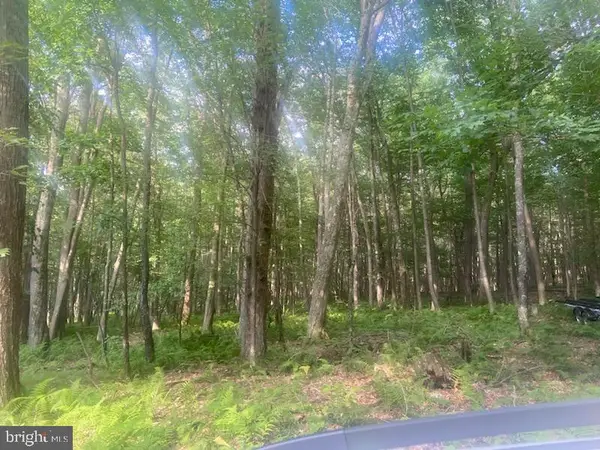 Mallard Lake Trl, SWANTON, MD 21561