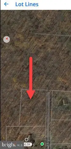 Mallard Lake Trl, Swanton, MD 21561 - #2