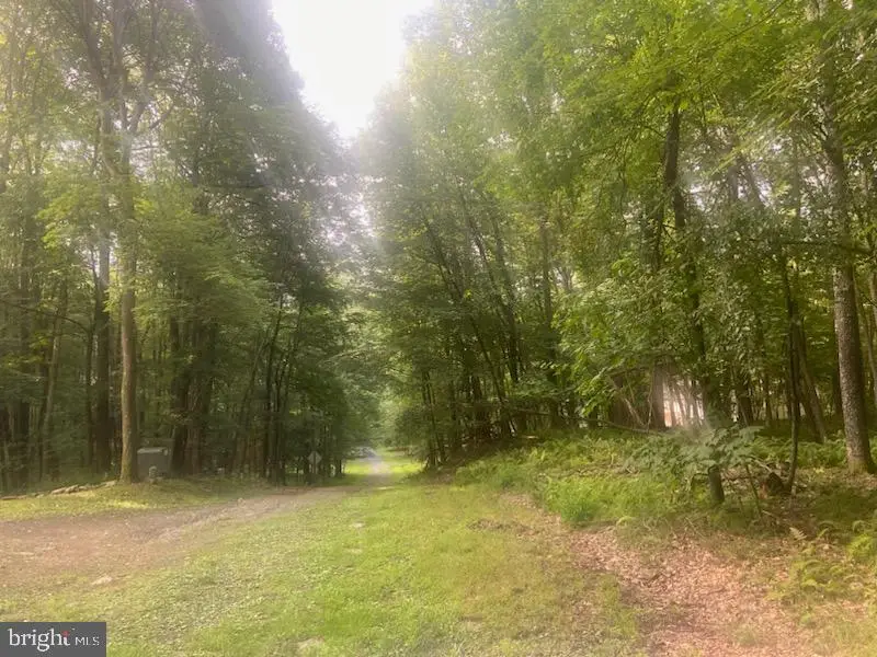 Mallard Lake Trl, Swanton, MD 21561 - #3