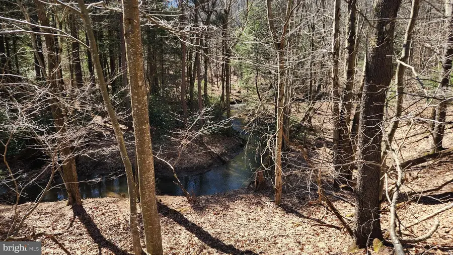 584 Old Wilson Rd, Swanton, MD 21561 - #2