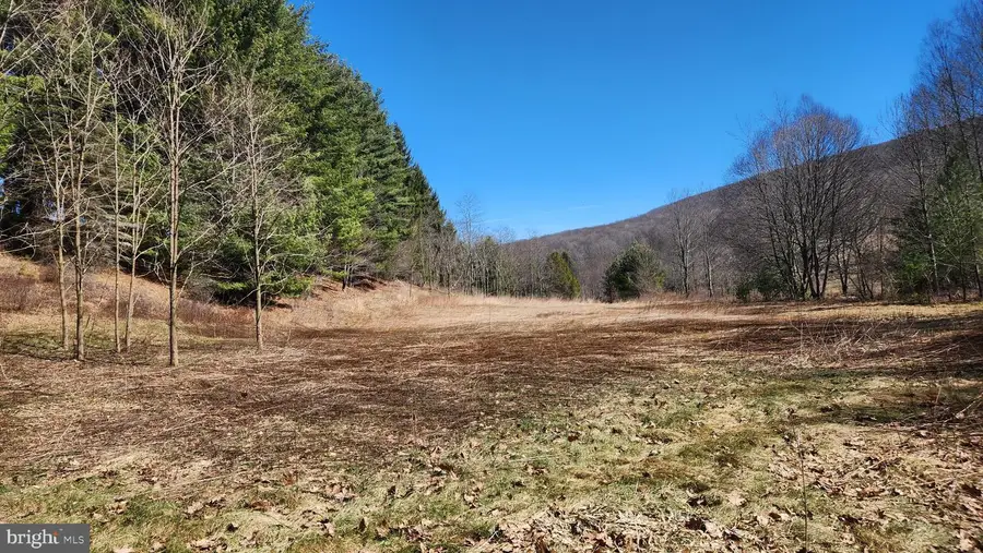 584 Old Wilson Rd, Swanton, MD 21561 - #3