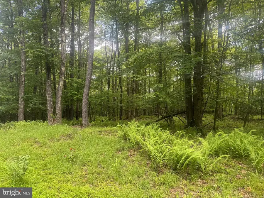 Lot 18 Buck Dr, Oakland, MD 21550 - #3