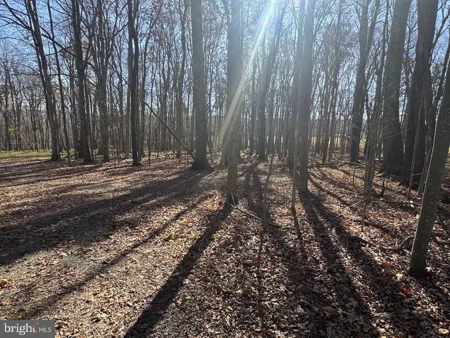 Maryland Hwy, Oakland, MD 21550 - #3