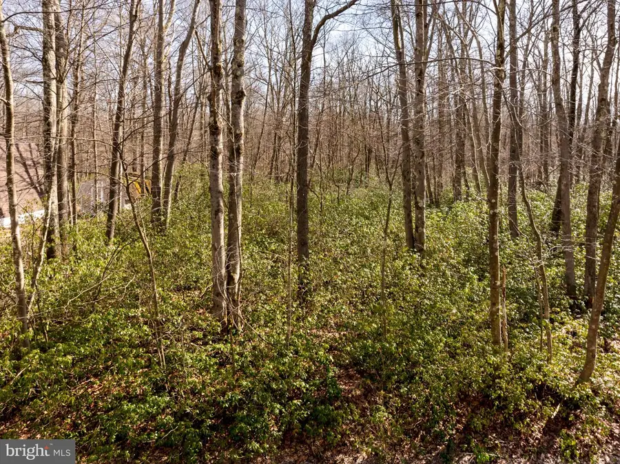 27 Gobbler Run Rd, Oakland, MD 21550 - #3