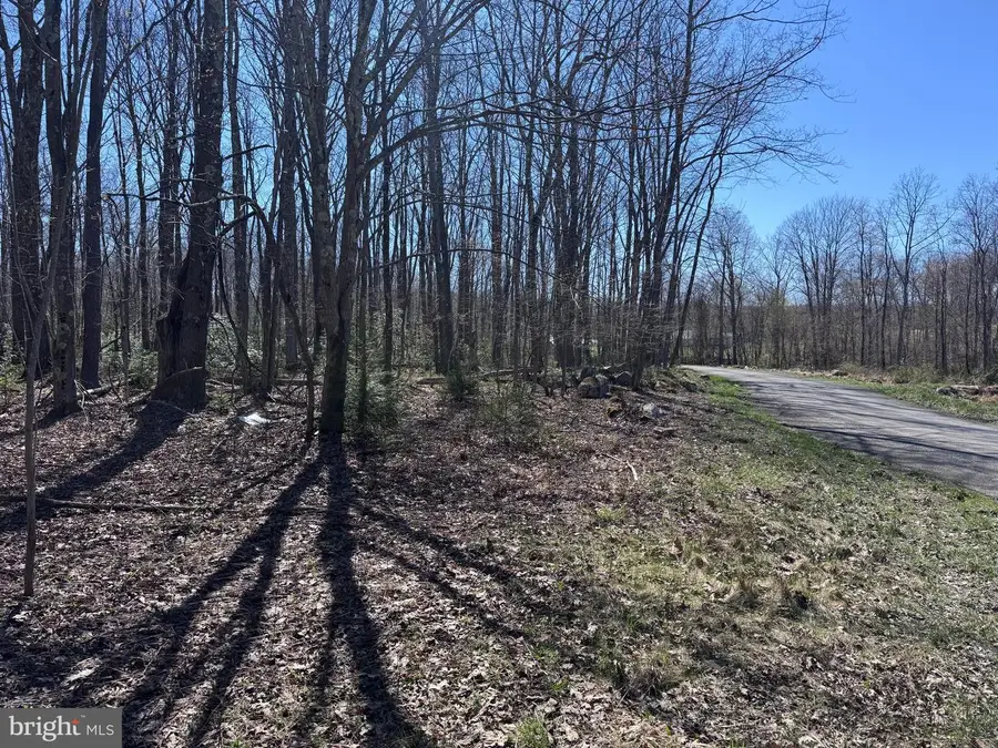 0 Newton Savage Rd, Friendsville, MD 21531 - #3