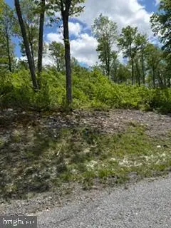 North Camp Rd #lot 69, 6 Sang Run, MD 21541 - #3