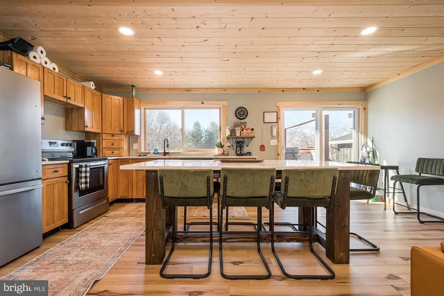 1015 Pysell Rd, McHenry, MD 21541 - #3