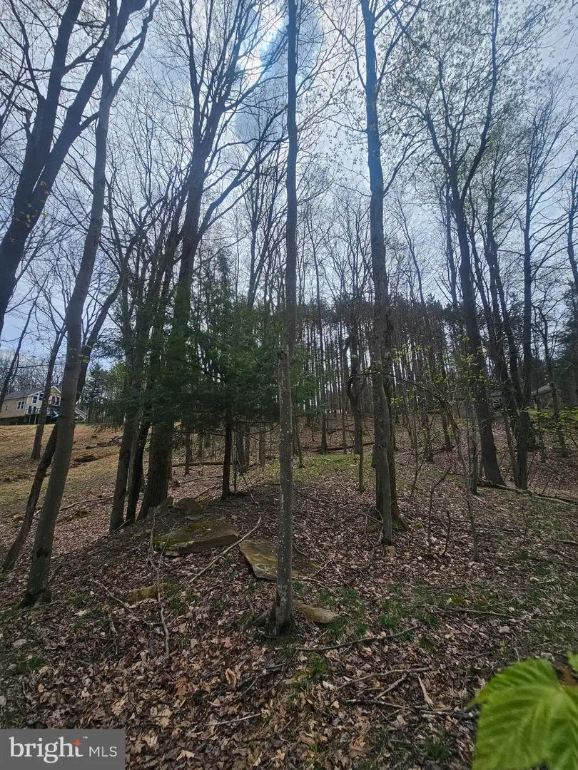 Lot 233 Cumberland, Oakland, MD 21550 - #3