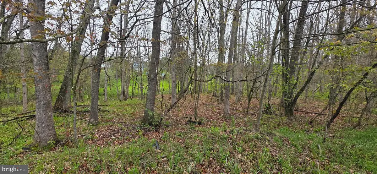 C St, Oakland, MD 21550 - #1