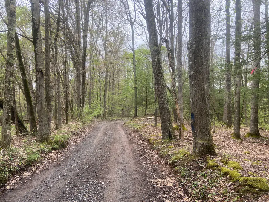 0 Gnegy Church Rd, Oakland, MD 21550 - #3