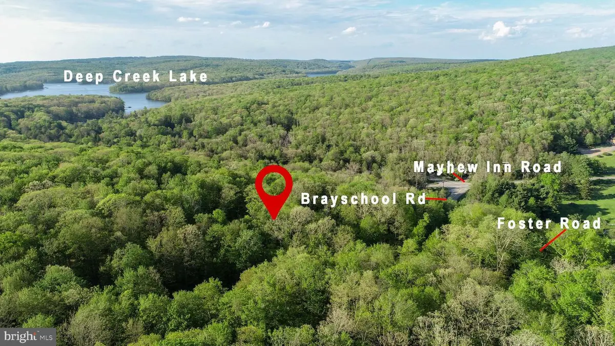 Red Run Heights Rd, Oakland, MD 21550 - #1
