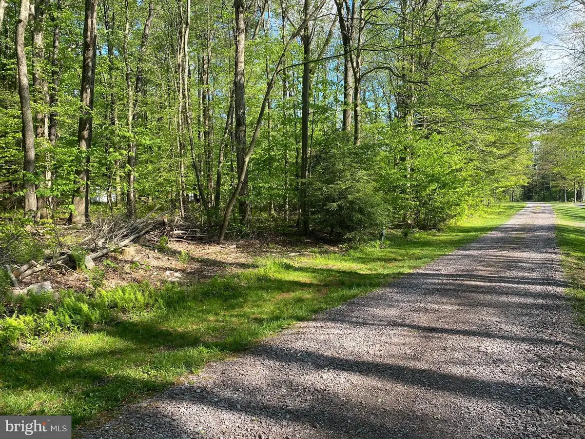 .99 Acre Rock Lodge, Accident, MD 21520 - #1