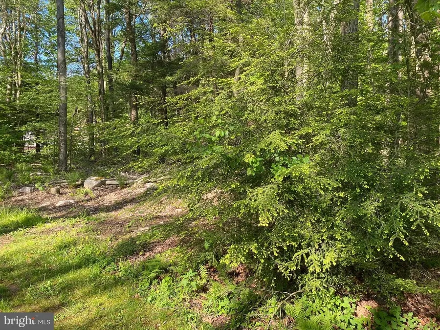 .99 Acre Rock Lodge, Accident, MD 21520 - #2