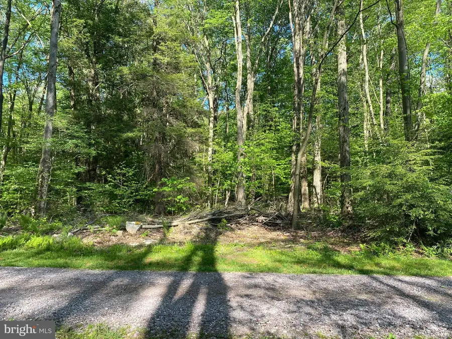 .99 Acre Rock Lodge, Accident, MD 21520 - #3