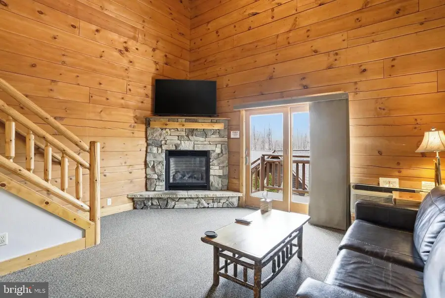 235 Cabin Lodge Rd, McHenry, MD 21541 - #3