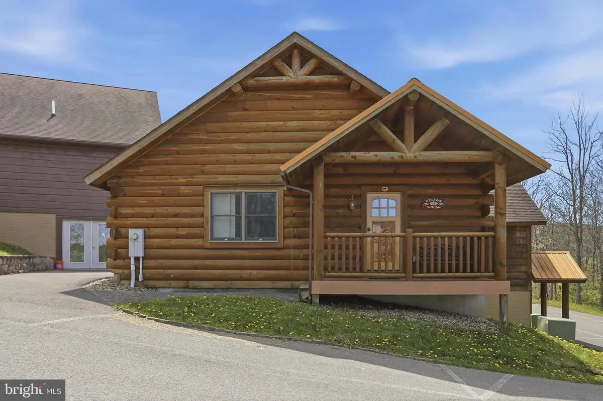 251 Cabin Lodge Rd, McHenry, MD 21541 - #1