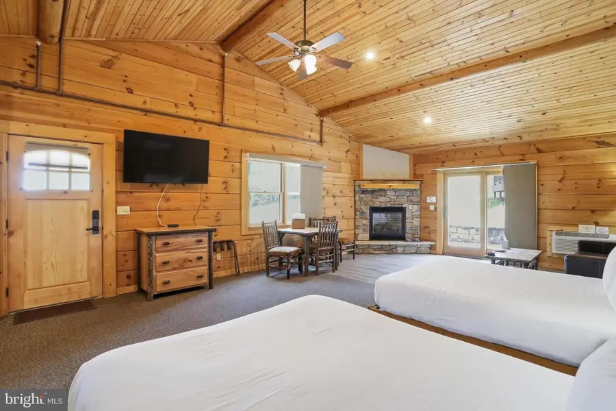 251 Cabin Lodge Rd, McHenry, MD 21541 - #2