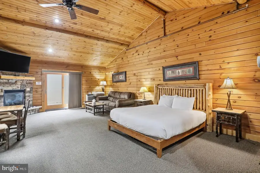 285 Cabin Lodge Rd, McHenry, MD 21541 - #3