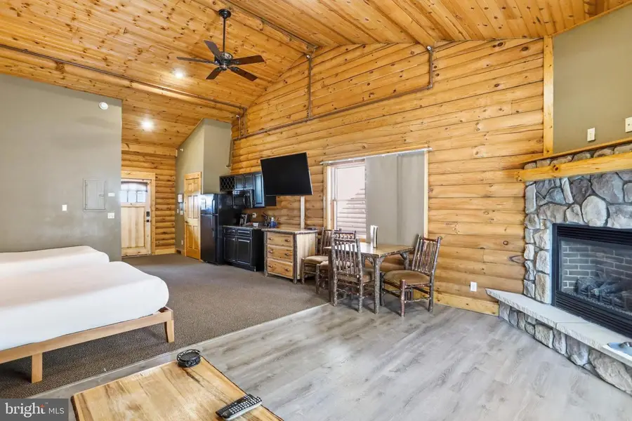 305 Cabin Lodge Rd, McHenry, MD 21541 - #2