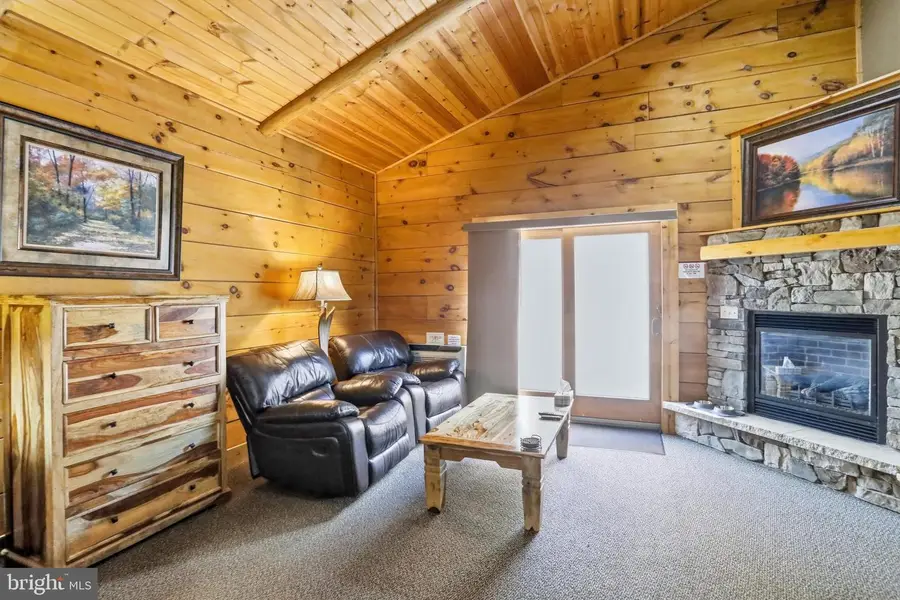 315 Cabin Lodge Rd, McHenry, MD 21541 - #2