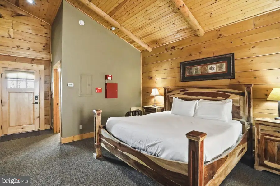 315 Cabin Lodge Rd, McHenry, MD 21541 - #3