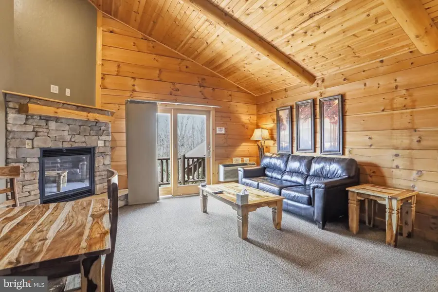 221 Cabin Lodge Rd, McHenry, MD 21541 - #3