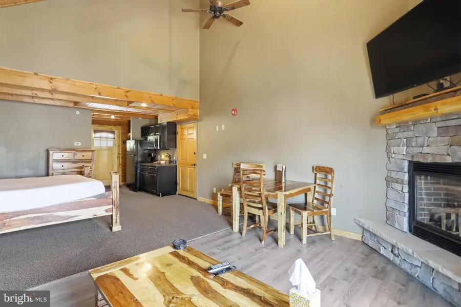 211 Cabin Lodge Rd, McHenry, MD 21541 - #3