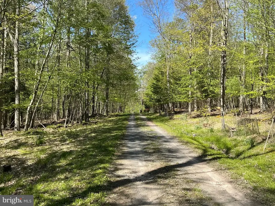 6.89 Acres Woodlands Hill Dr Dr, Oakland, MD 21550 - #3