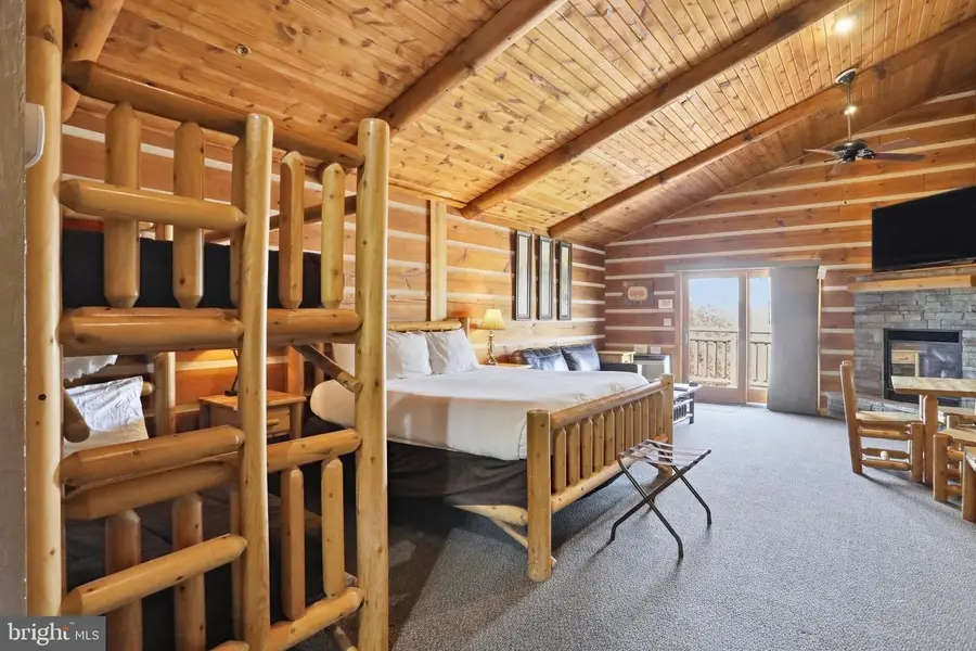 171 Cabin Lodge Rd, McHenry, MD 21541 - #2