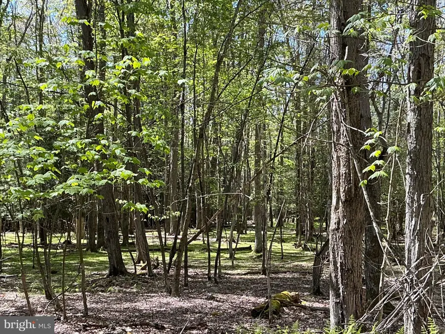 3.15 Acres Woodlands Hill Ln, Oakland, MD 21550 - #3