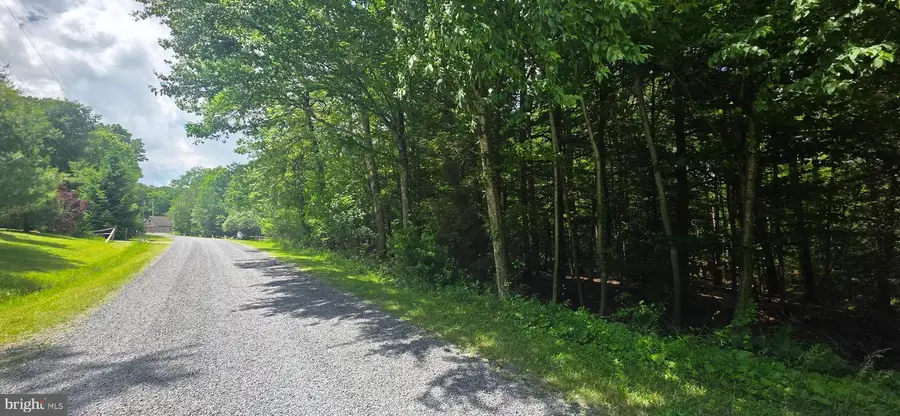 Maple Del Ln, Oakland, MD 21550 - #2