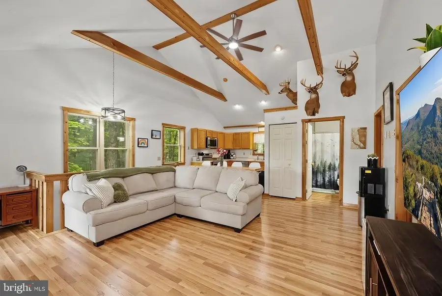 254 Little Mountain Rd, Oakland, MD 21550 - #3