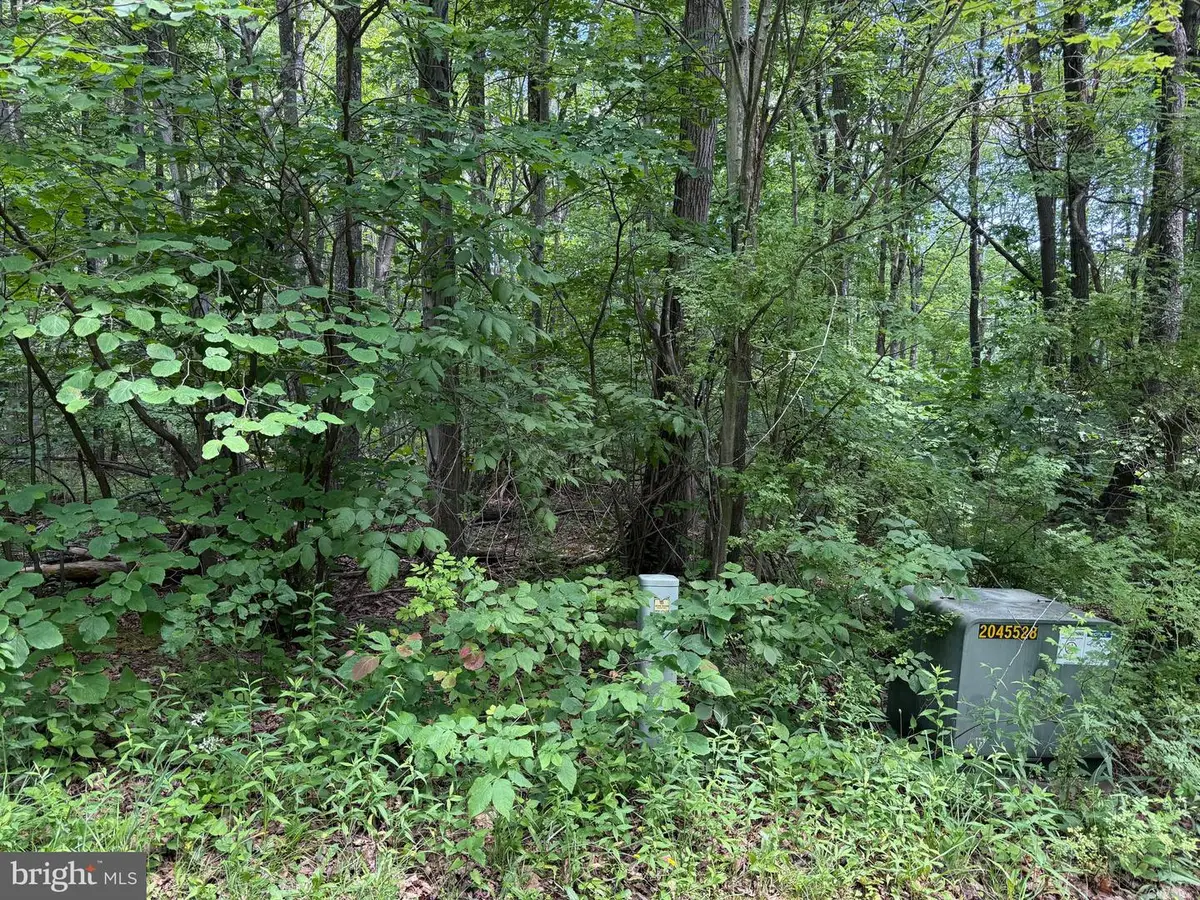 Apex Court, Swanton, MD 21561 - #1